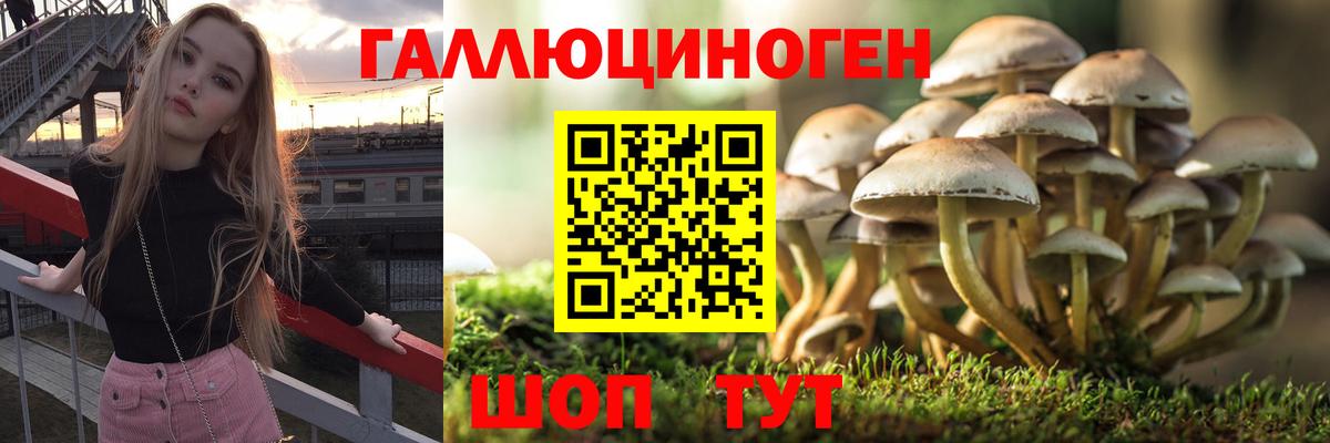 Галлюциногенные грибы MAGIC MUSHROOMS  наркота  Ревда  Вход с VPN 